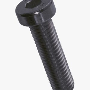 Vijci s imbus glavom i niskom glavom, djelomično / punim navojem Čelik - 08.8 / 8.8 (oznaka glave je odlučujuća) - crna