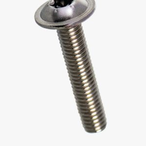 Heksalobularni (6 režnjeva) vijci s cilindričnom glavom s prstenom i punim navojem Nehrđajući čelik - A2