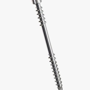 SPAX® - Šesterostrani (6 režnja) vijci s cilindričnom glavom za drvene staze i mostove s pričvrsnim navojem i T-STAR plus s CUT vrhom Nehrđajući čelik - A4