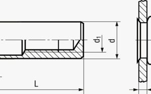FASTEKS® FILKO UC/FEKSG - Slijepe zakivne matice mala upuštena glava, okrugla drška, zatvoreni kraj Čelik - pocinčan s debelim slojem pasivacije