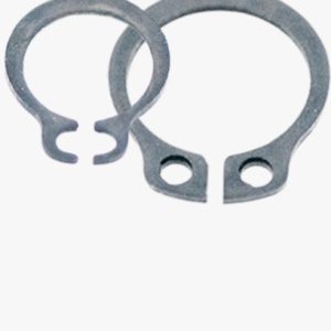 Proljetna bronca - obična